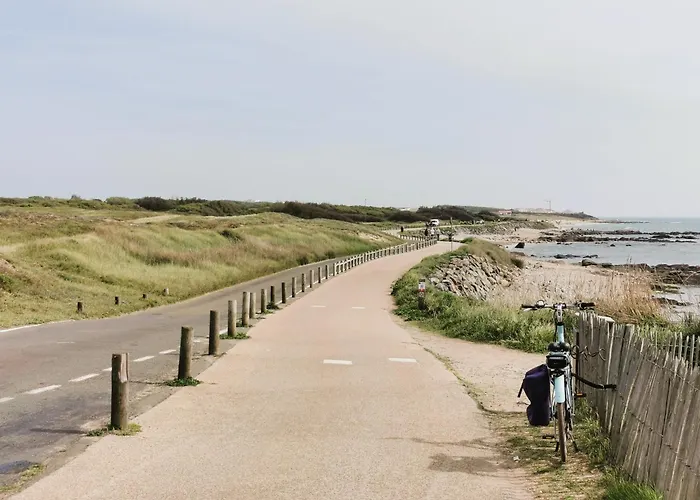 Le Petit Foch - Face A La 莱萨布勒-多洛讷