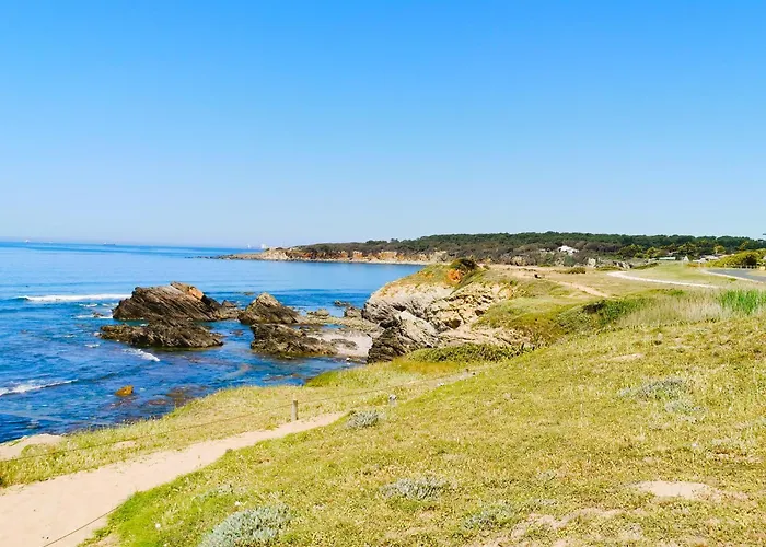 Le Petit Foch - Face A La * 莱萨布勒-多洛讷