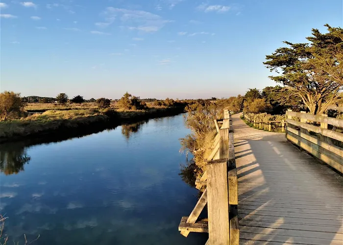 Le Petit Foch - Face A La *